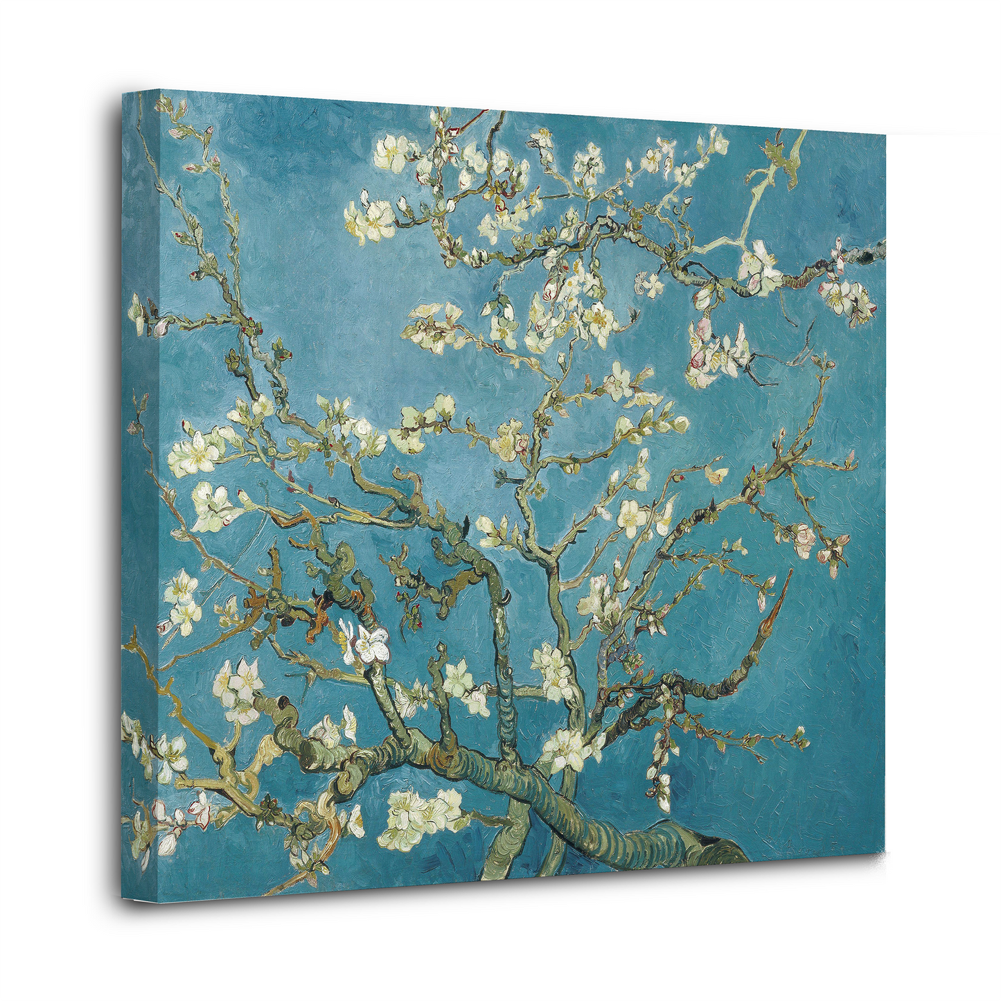 Almond Blossoms by Van Gogh - Wall Art Canvas