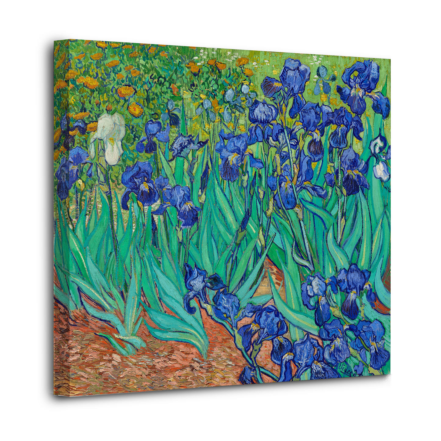 Irises by Van Gogh - Wall Art Canvas